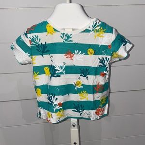 🪸Zara Shirt Boys Size 3/6 Months